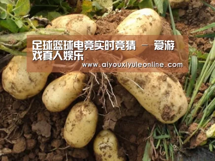 种植基地六