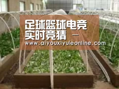 环境展示五