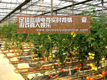 种植基地二