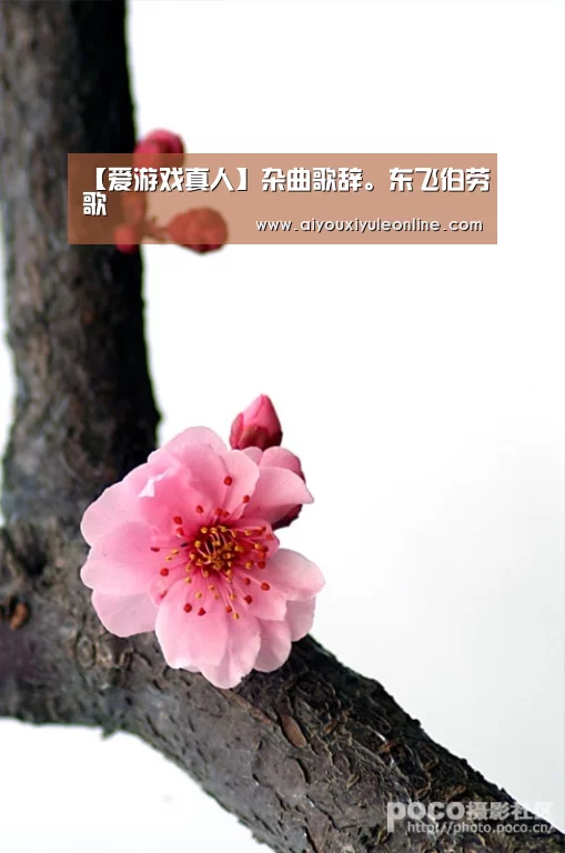 【爱游戏真人】杂曲歌辞。东飞伯劳歌(图4) 爱游戏APP