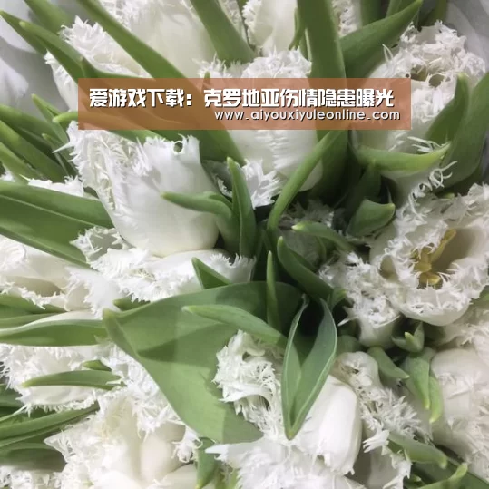 爱游戏下载:克罗地亚伤情隐患曝光(图1) 爱游戏APP