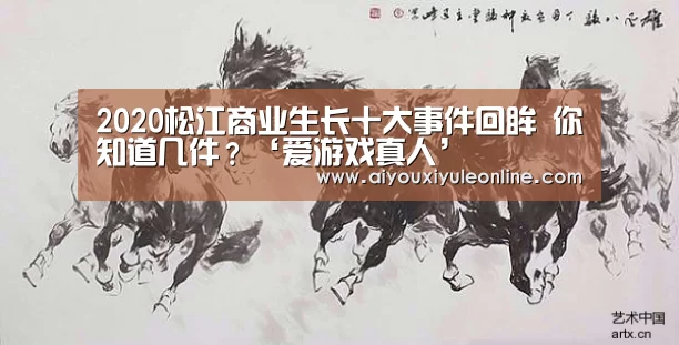 2020松江商业生长十大事件回眸 你知道几件?‘爱游戏真人’(图7) 爱游戏下载