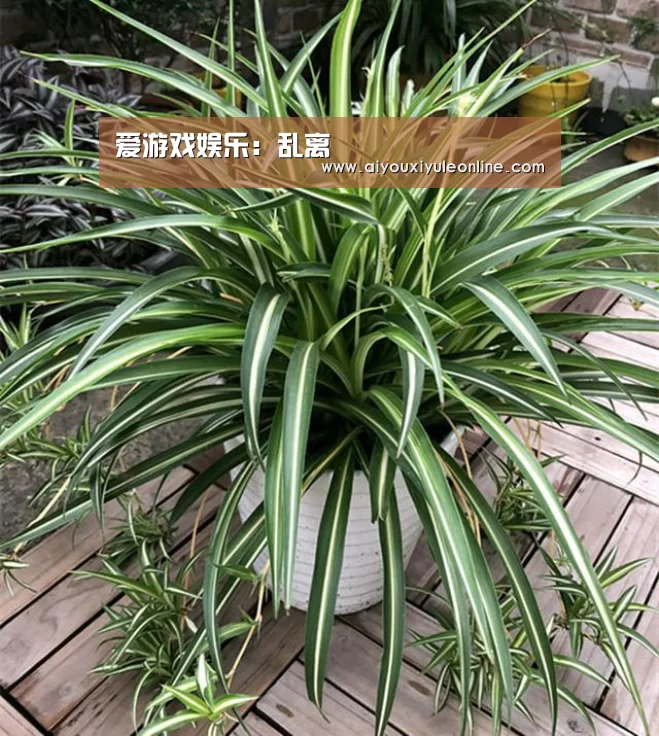 爱游戏下载