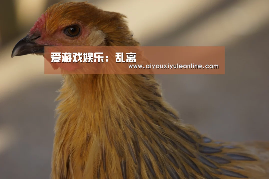 爱游戏娱乐