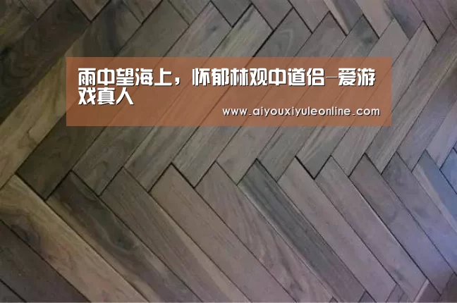 雨中望海上,怀郁林观中道侣-爱游戏真人(图2) 爱游戏APP