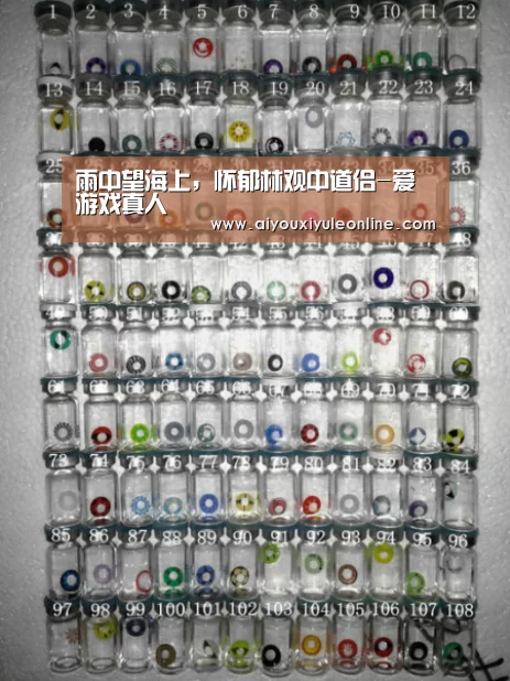 雨中望海上,怀郁林观中道侣-爱游戏真人(图3) 爱游戏APP