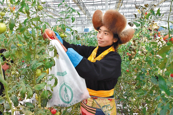 爱游戏娱乐
