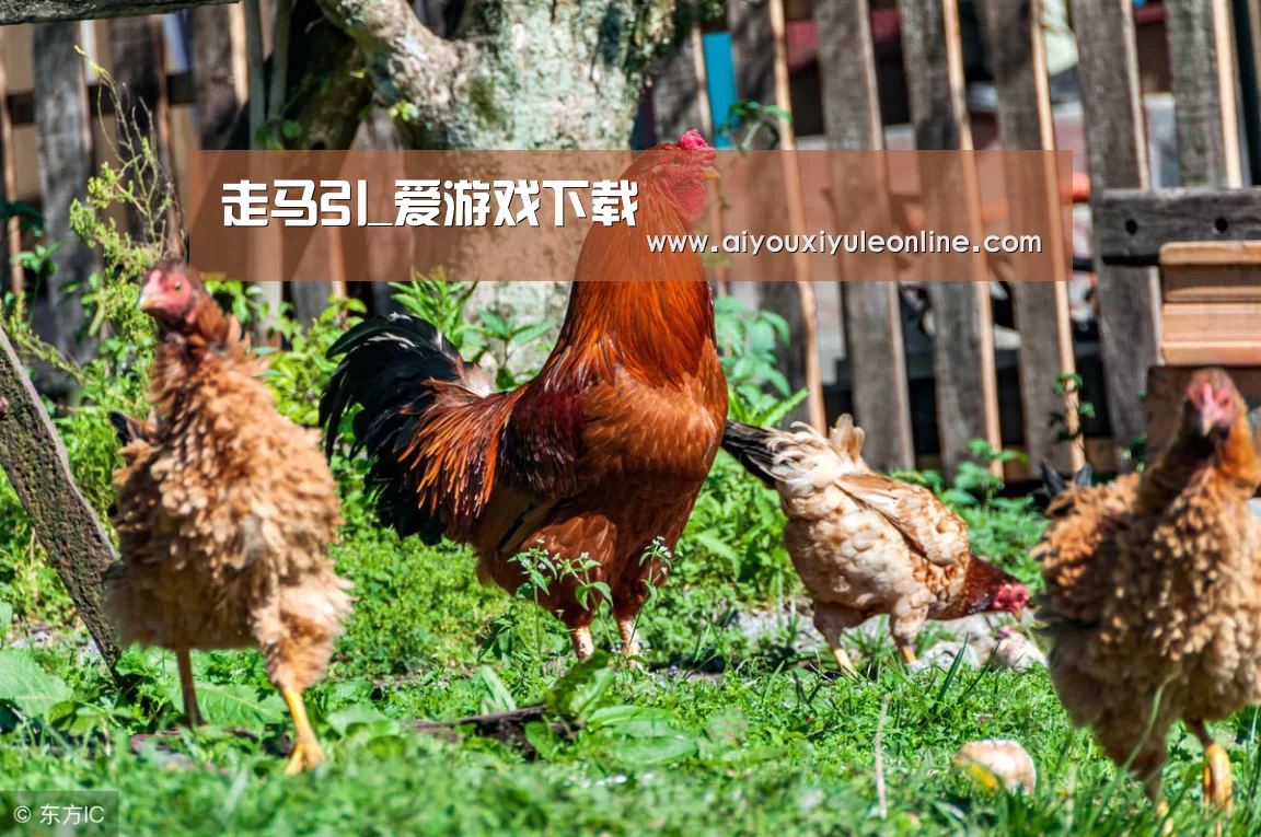 走马引_爱游戏下载(图1) 爱游戏娱乐