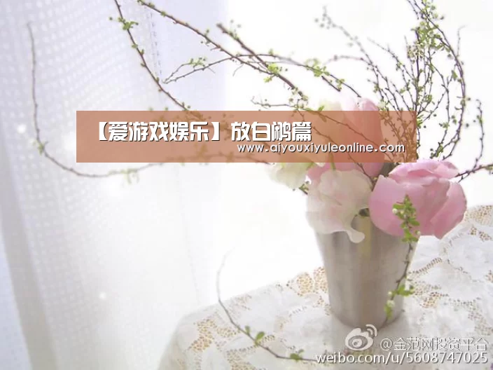 【爱游戏娱乐】放白鹇篇(图1) 爱游戏真人