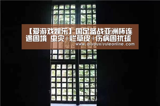 爱游戏真人